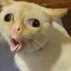 Meet your Posher, Skyler